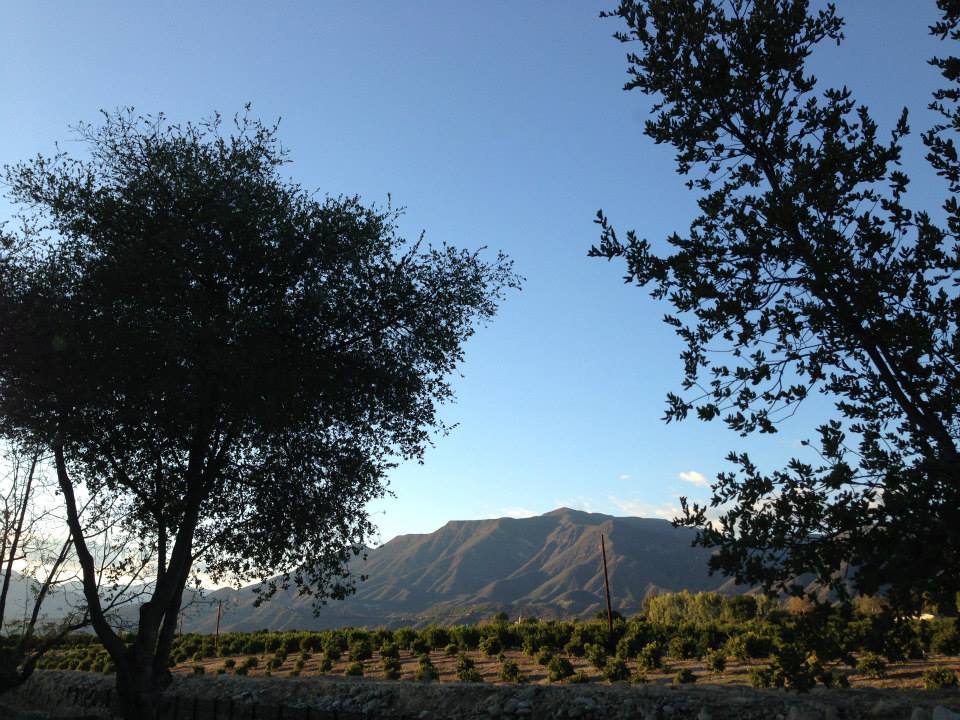 10983390_10152538273795957_2639058304071162541_n