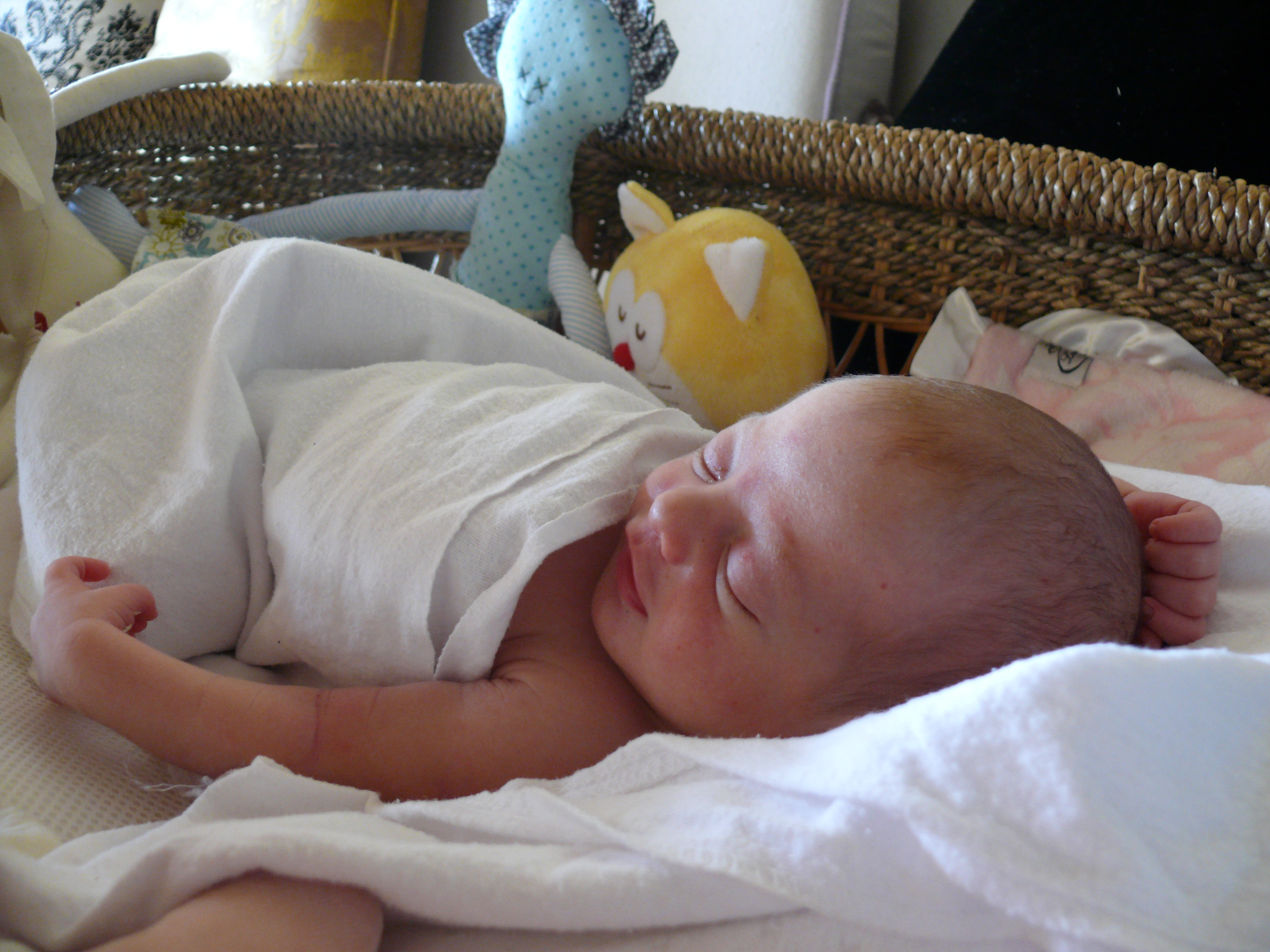 Jasmine Rue Seelig Sugerman Two Days Old