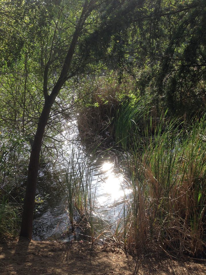 11215527_10152753807785957_3792694614667569494_n