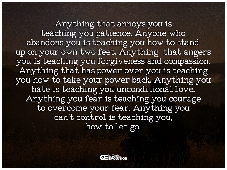 12115446_10153719254093908_8720648536490859702_n