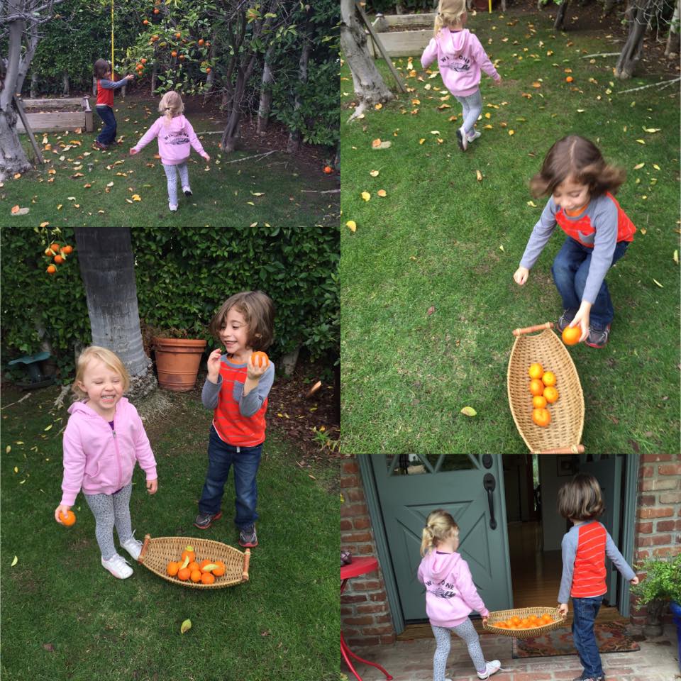 12510369_10153199165165957_540016954416076715_n