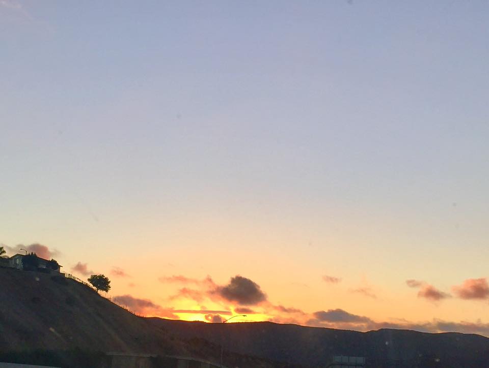 14720465_10153783283205957_372066673974851837_n